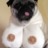 2Moepse