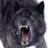 badblackwolf