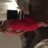 SabrinaLSC