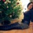  19andrea87